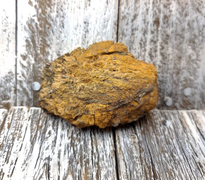 Stoney Mountain Rock with Arizona Turquoise